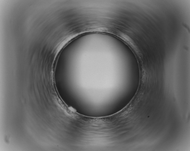 X0000100971332200807081210