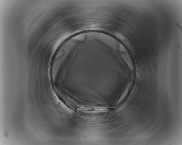 X0000100971334200807081210