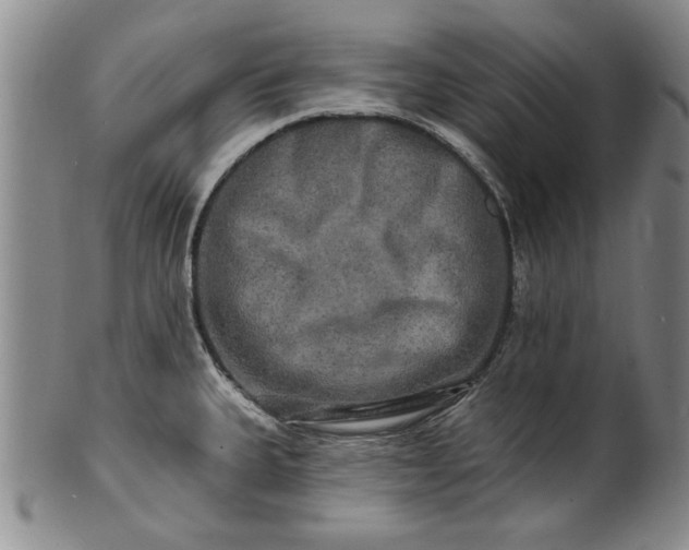 X0000100971335200807081210