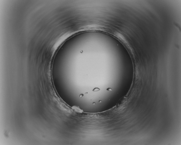 X0000100971336200807081210