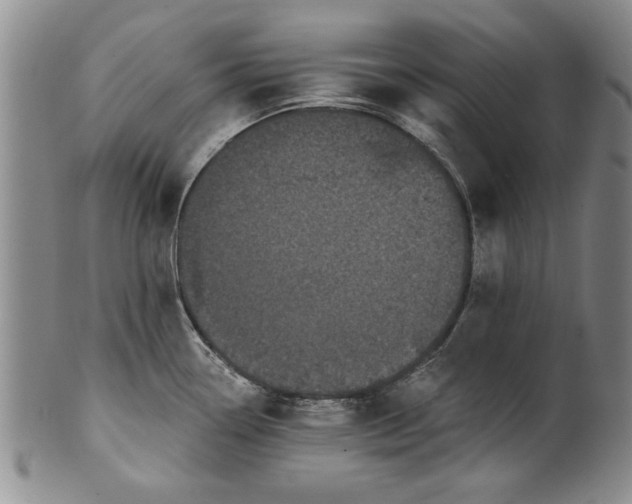 X0000100971338200807081210