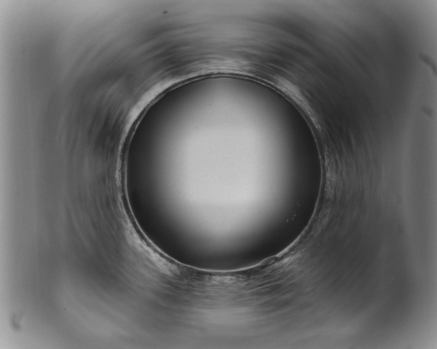 X0000100971339200807081210