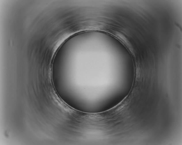 X0000100971340200807081210