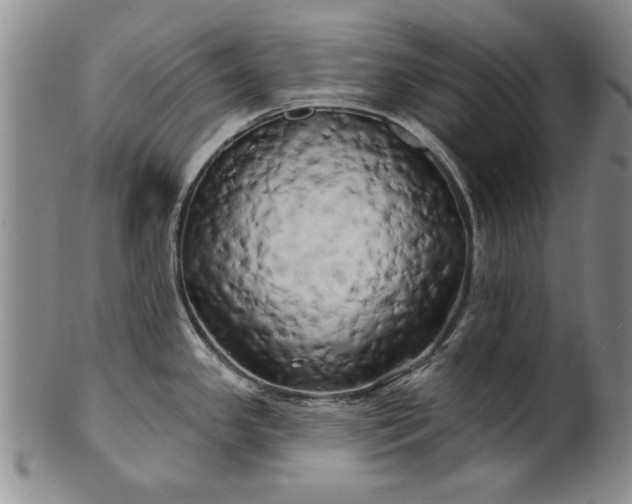 X0000100971341200807081210