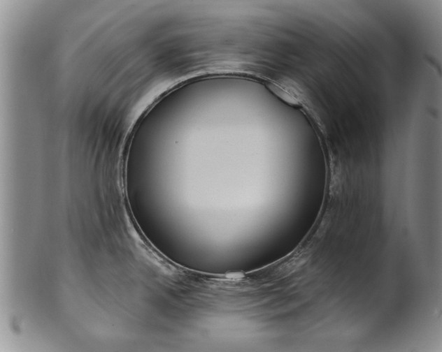 X0000100971342200807081210
