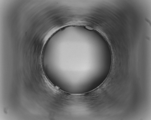 X0000100971344200807081210