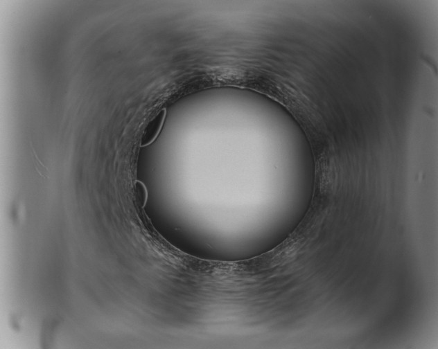 X0000100971345200807081209