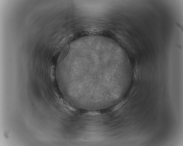 X0000100971346200807081209