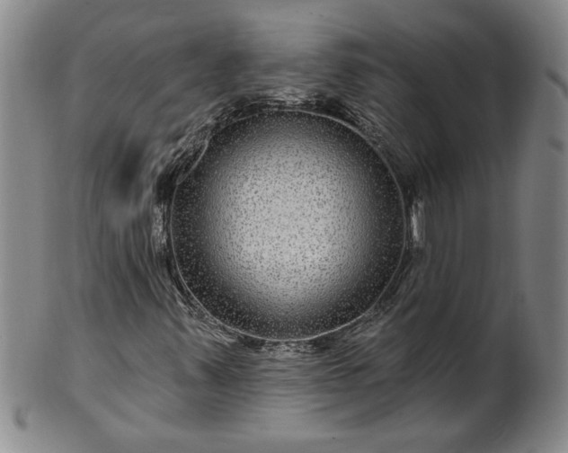 X0000100971347200807081209
