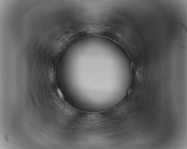 X0000100971348200807081209