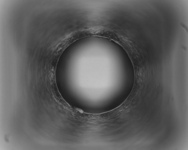 X0000100971349200807081209