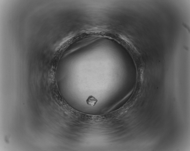 X0000100971350200807081209