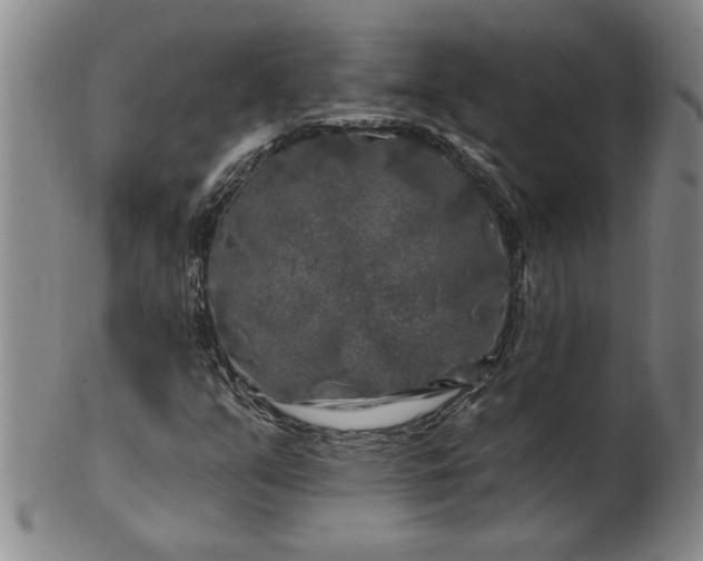 X0000100971351200807081209