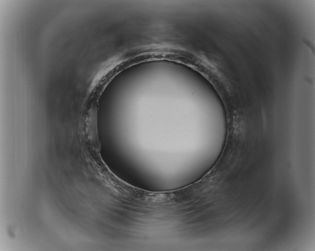 X0000100971352200807081209