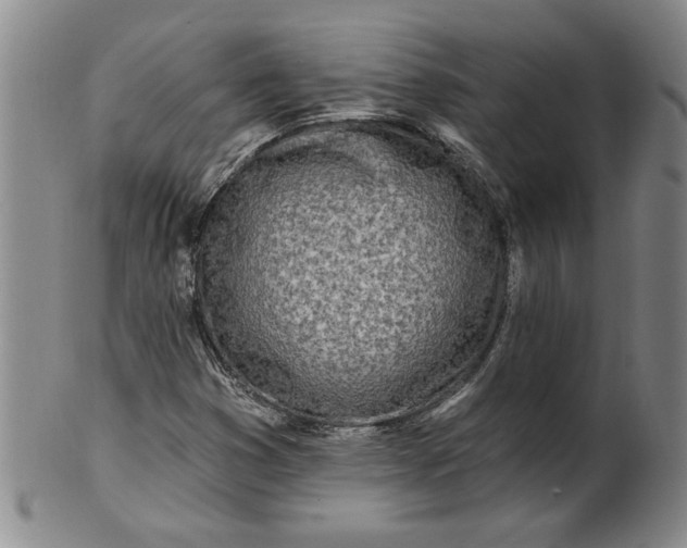 X0000100971353200807081209