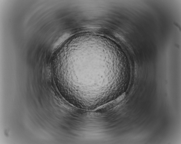 X0000100971354200807081209