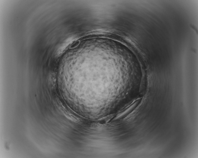 X0000100971355200807081209