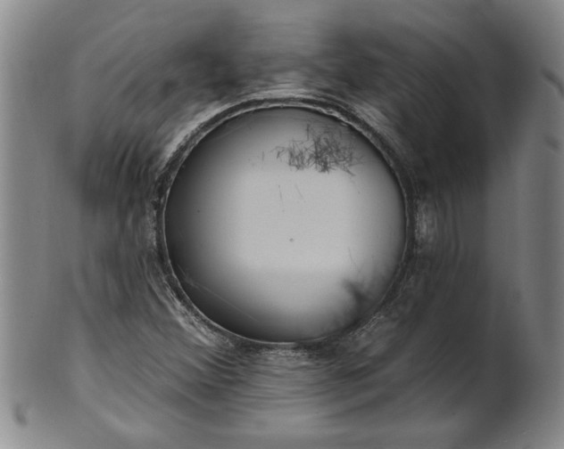 X0000100971356200807081209