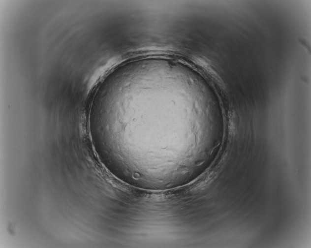 X0000100971357200807081209