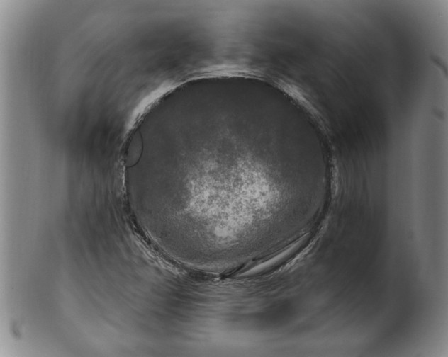 X0000100971358200807081209
