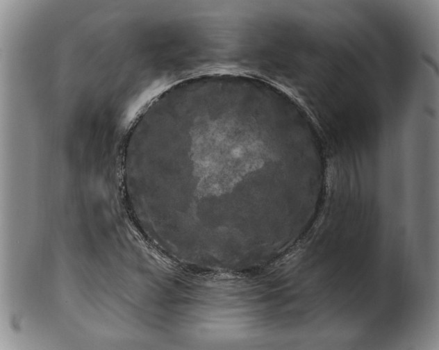 X0000100971359200807081209