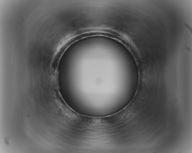 X0000100971360200807081209