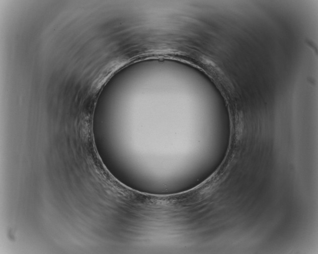 X0000100971361200807081209