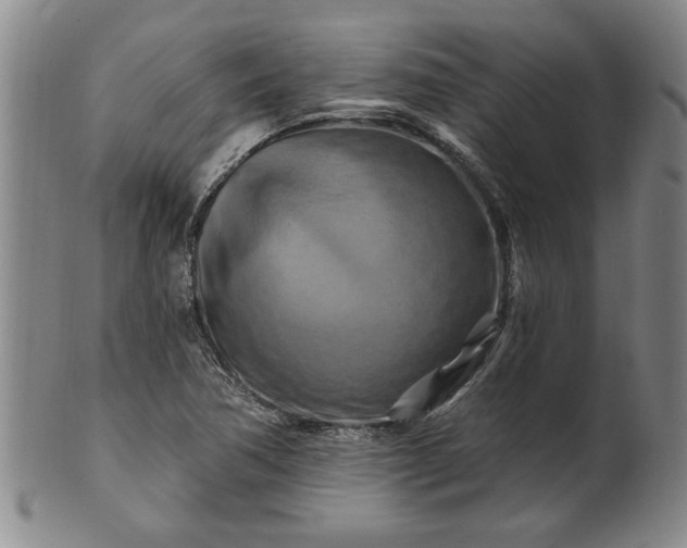 X0000100971362200807081209