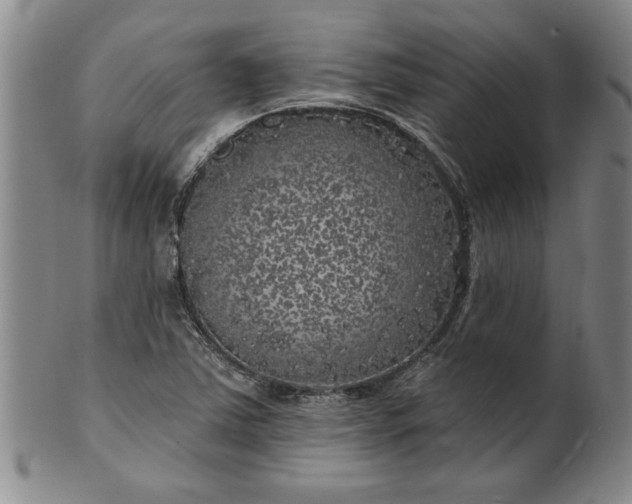 X0000100971363200807081209