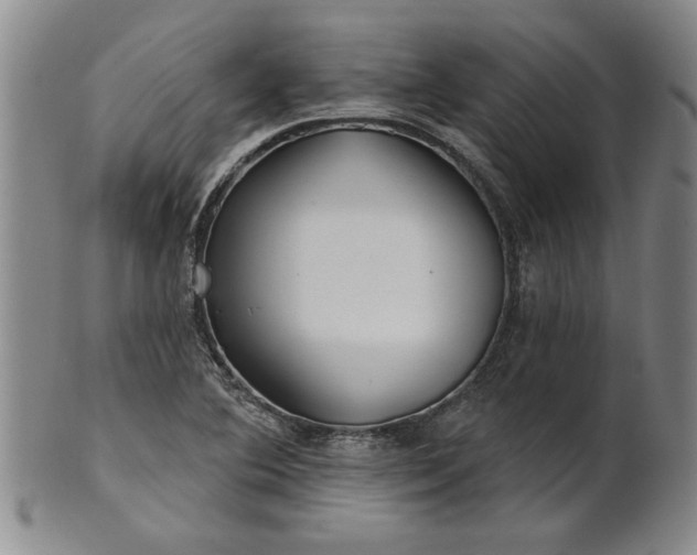 X0000100971364200807081209
