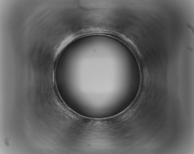 X0000100971365200807081209