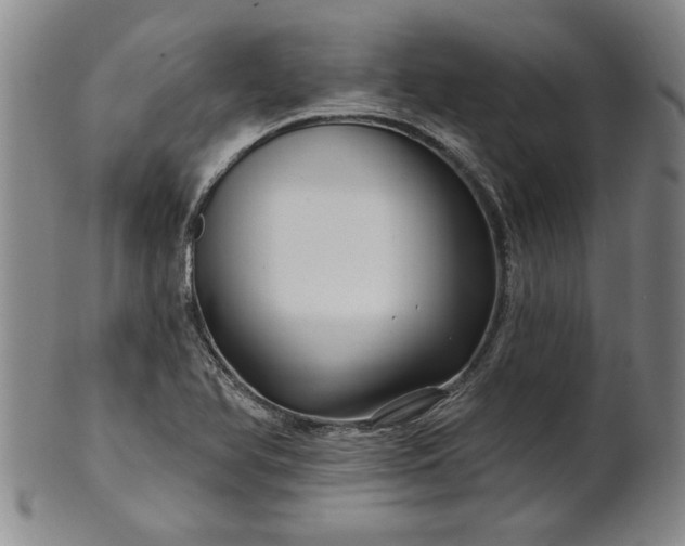 X0000100971366200807081209