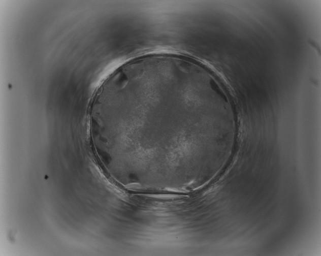 X0000100971367200807081209