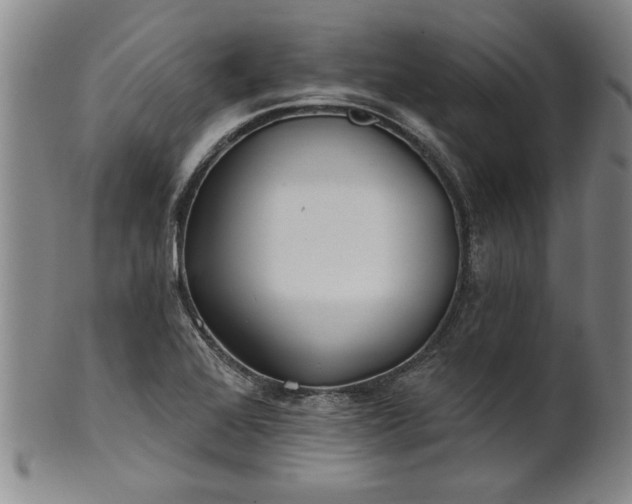 X0000100971368200807081209