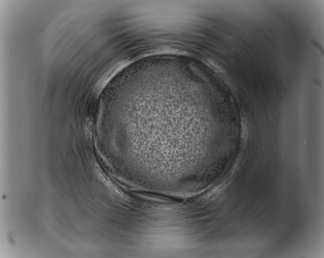 X0000100971369200807081209