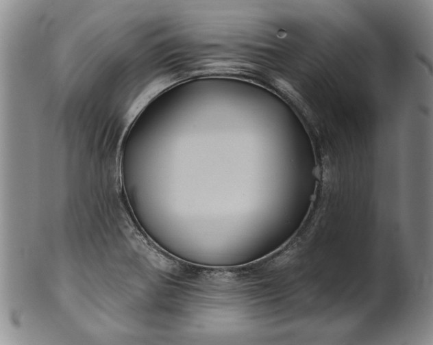 X0000100971370200807081209