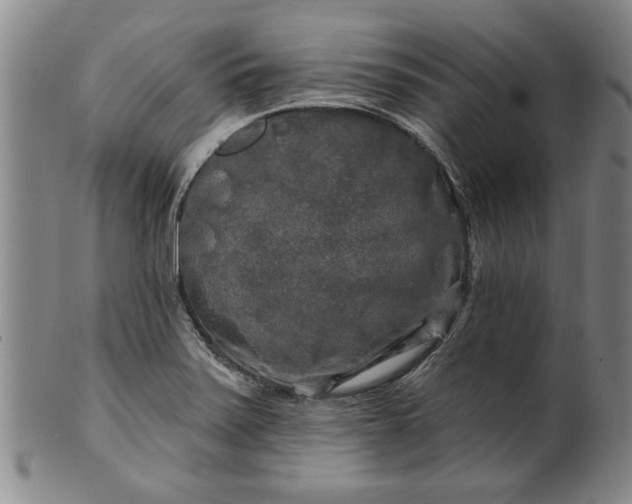 X0000100971371200807081209