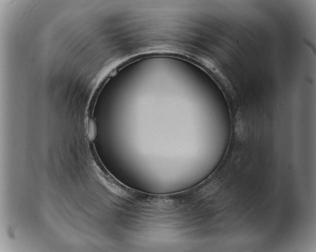 X0000100971372200807081209