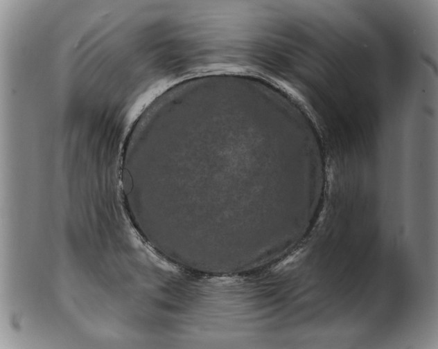 X0000100971373200807081209