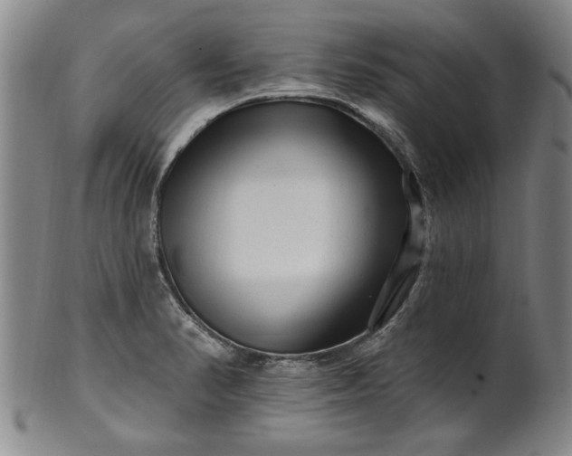 X0000100971374200807081209