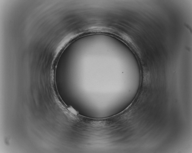 X0000100971376200807081209