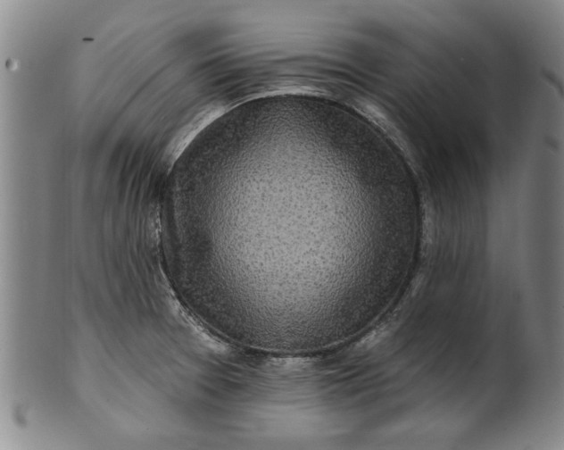X0000100971377200807081209
