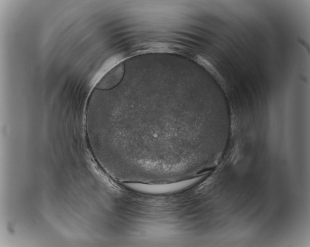 X0000100971378200807081209