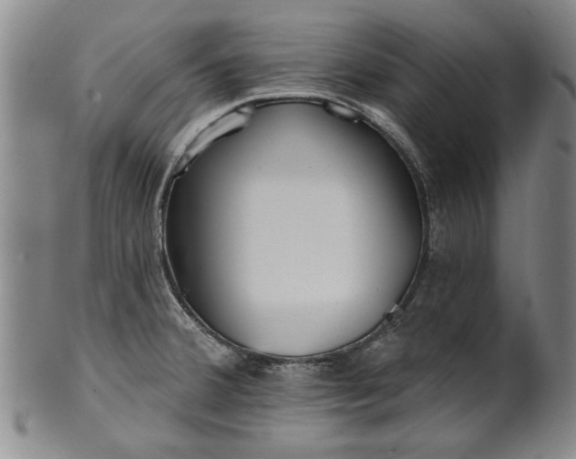 X0000100971380200807081208