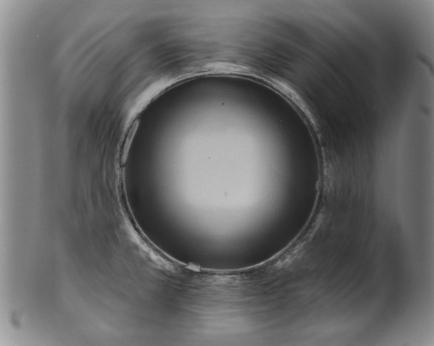 X0000100971381200807081208