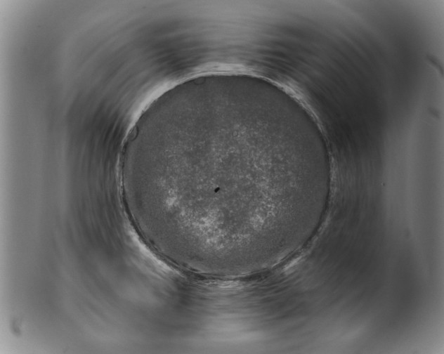X0000100971382200807081208