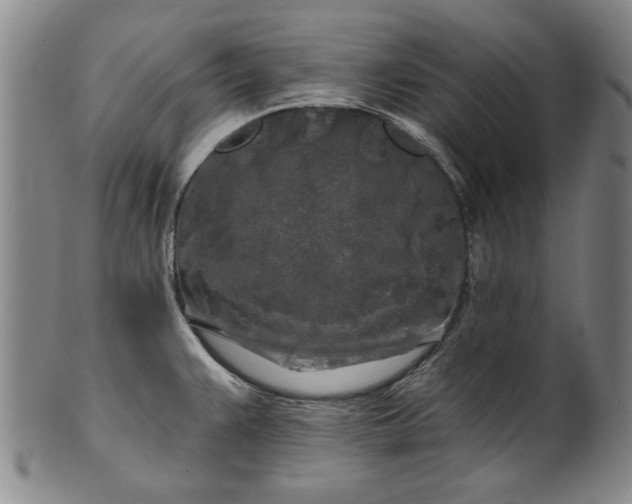X0000100971383200807081208