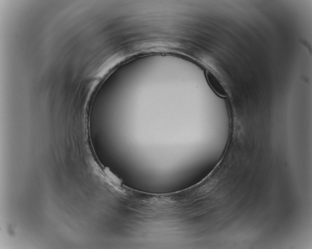 X0000100971384200807081208