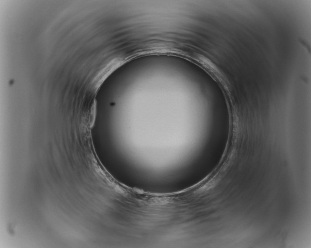 X0000100971385200807081208