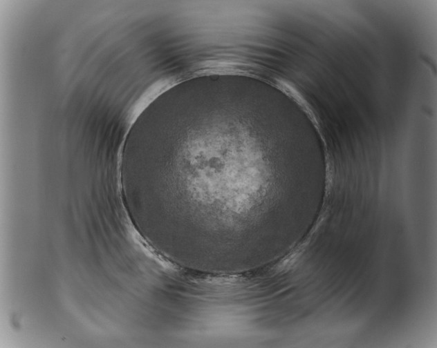 X0000100971386200807081208